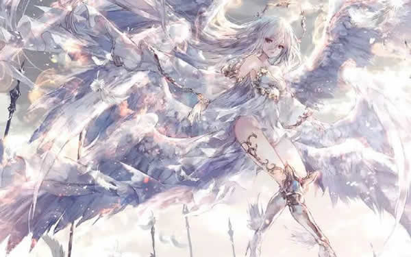 秋葵茄子丝瓜绿巨人app：健康生活新选择-2
