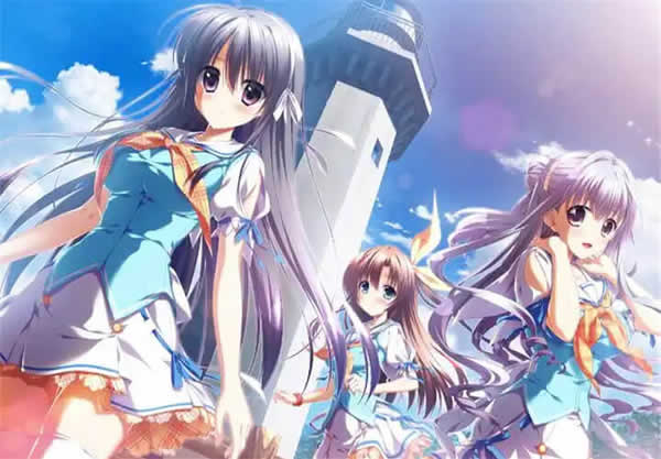 小蝌蚪视频成人版：常见问题解析与使用指南