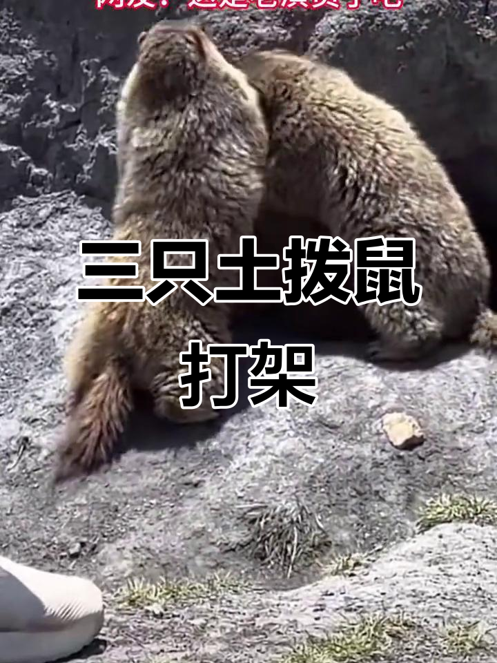 admin 第599页
