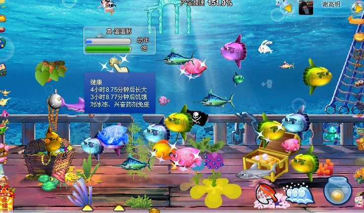 查找梦幻海底游戏(梦幻西游的海底迷宫在哪里)