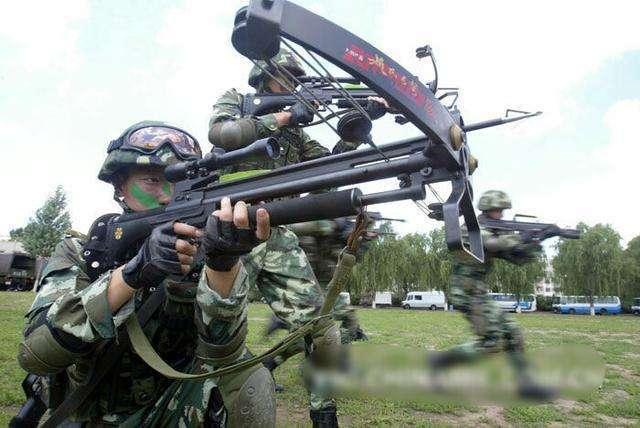特种兵大作战武器大全(特种兵大作战武器大全图片)