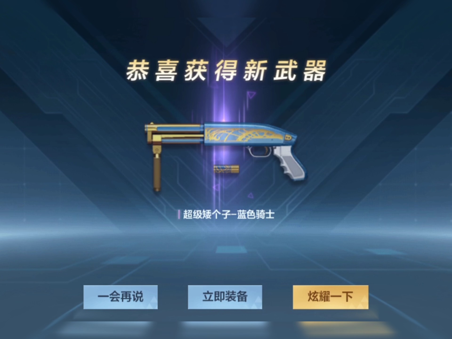 骑士精英高端武器(骑士精英高端怎么买)