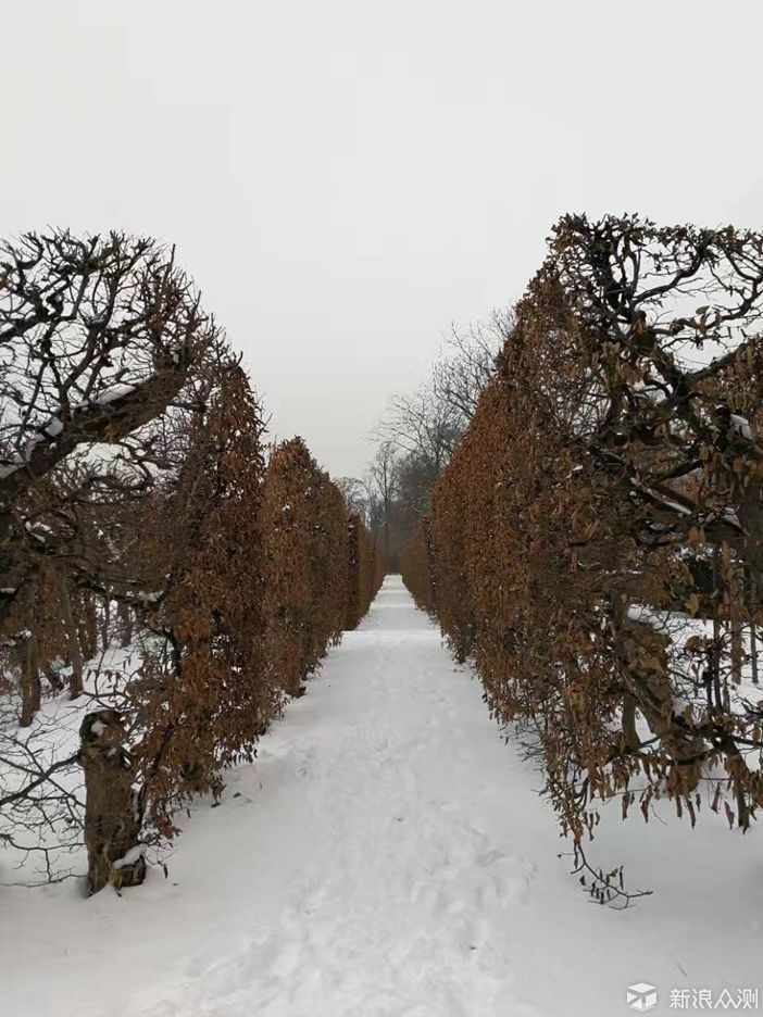 救援宫殿雪人攻略(救援宫殿雪人攻略大全)