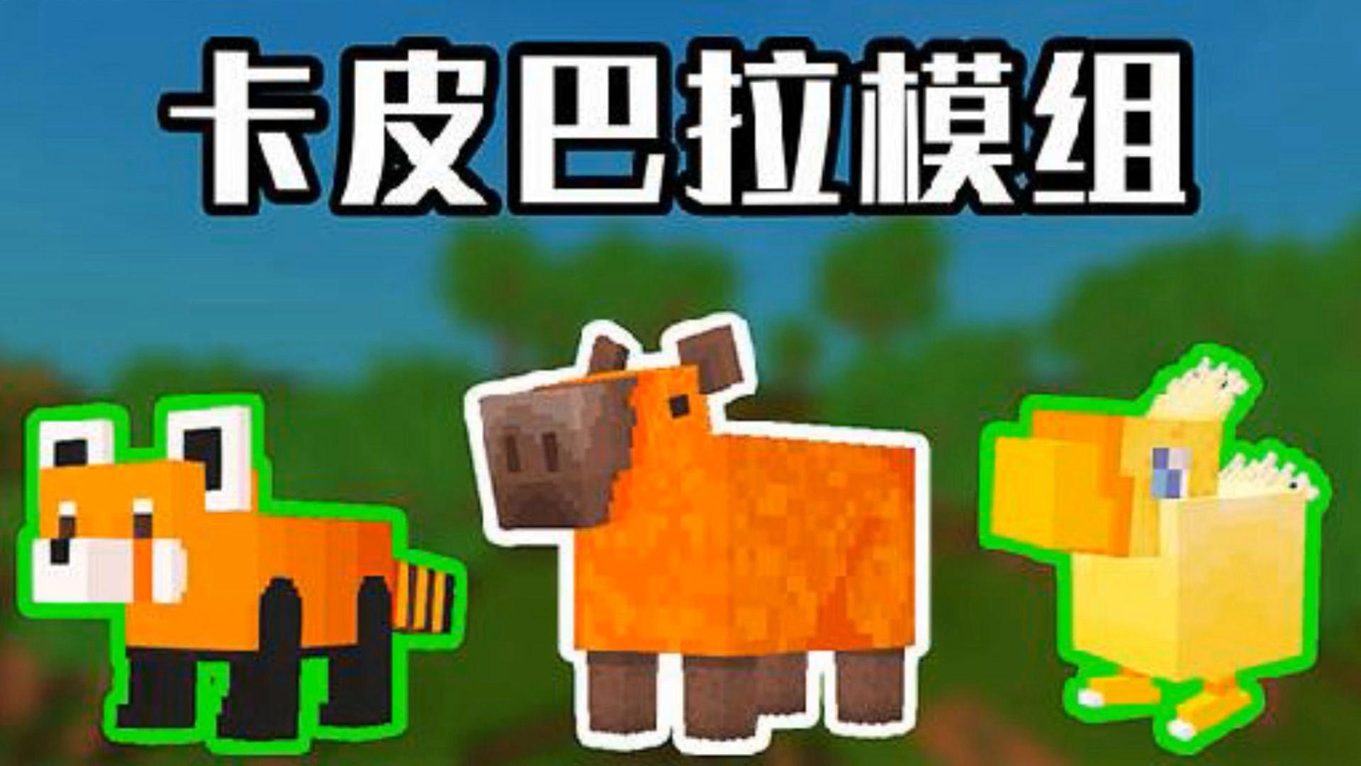 巴拉迷你世界主播(巴拉迷你世界主播视频)