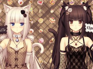 猫女郎最新版本下载(猫女郎最新版本下载安装)