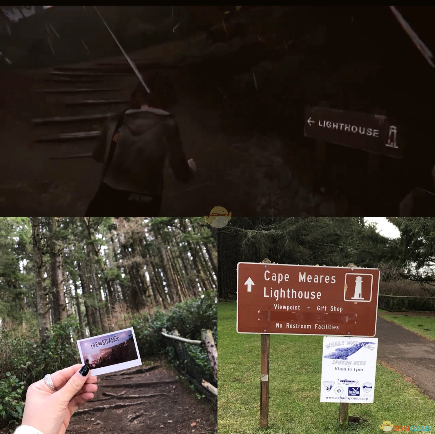 奇异的圣地攻略(奇异的圣地攻略格利娜)