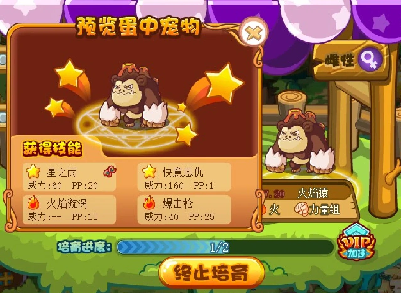 洛克王国挖金矿(洛克王国挖宝在哪里)