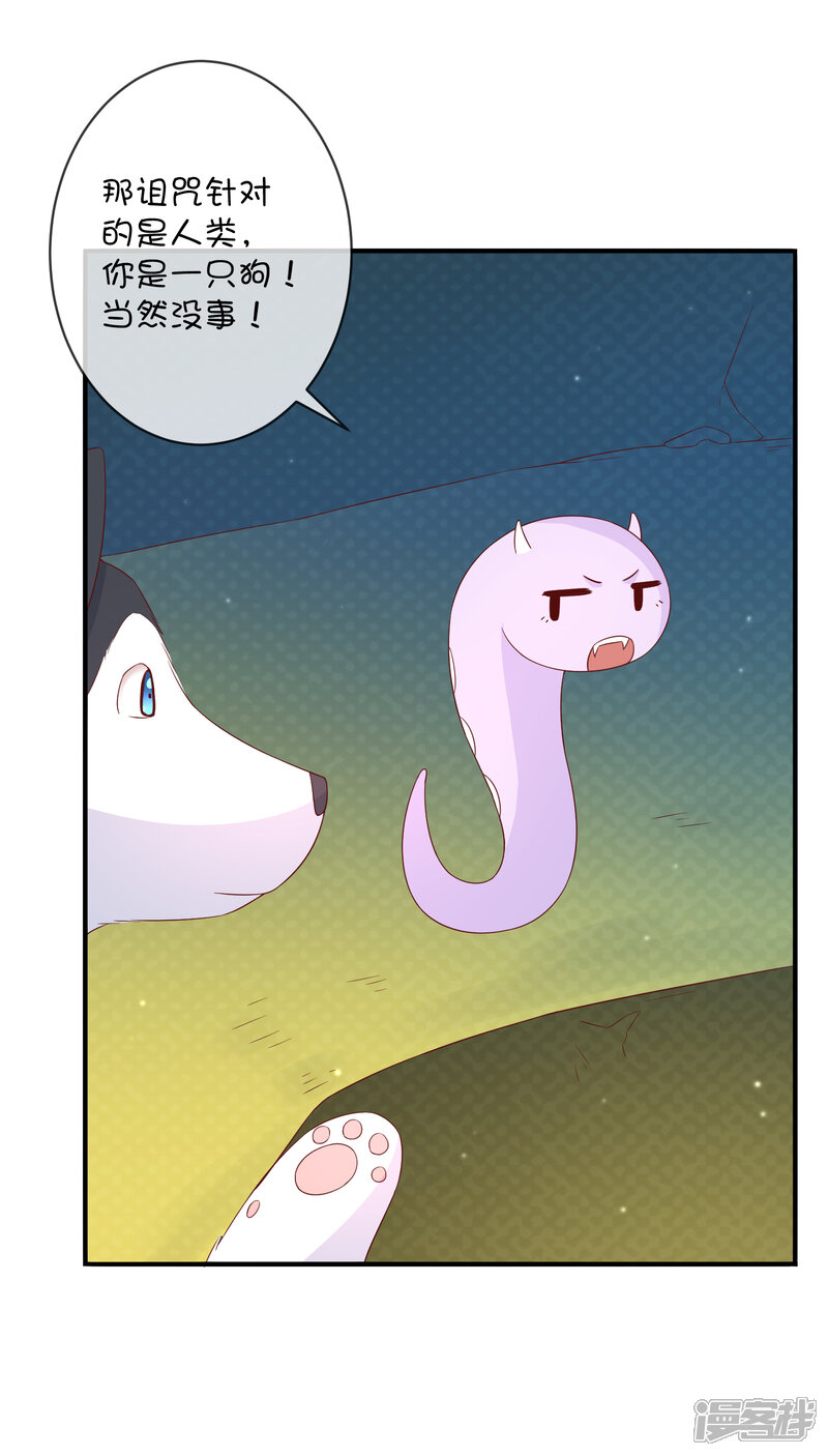 小镇秘密攻略(小镇秘密攻略大全)