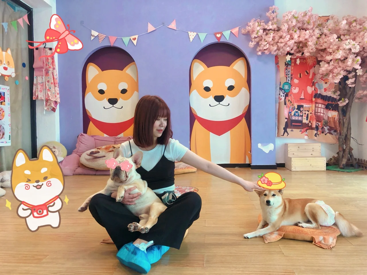 宠物男友游戏攻略(宠物男友游戏攻略百度云)