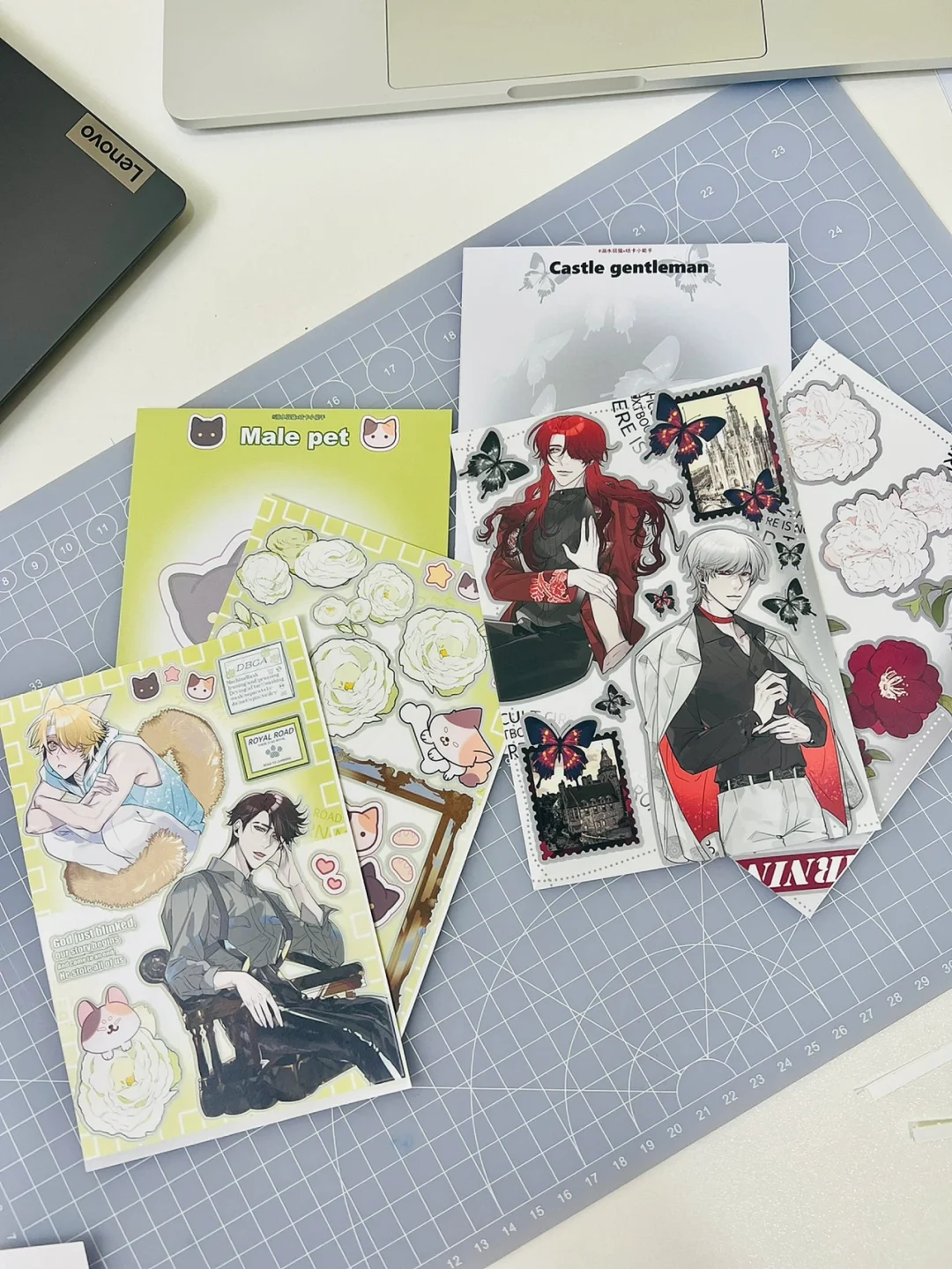 宠物男友游戏攻略(宠物男友游戏攻略百度云)