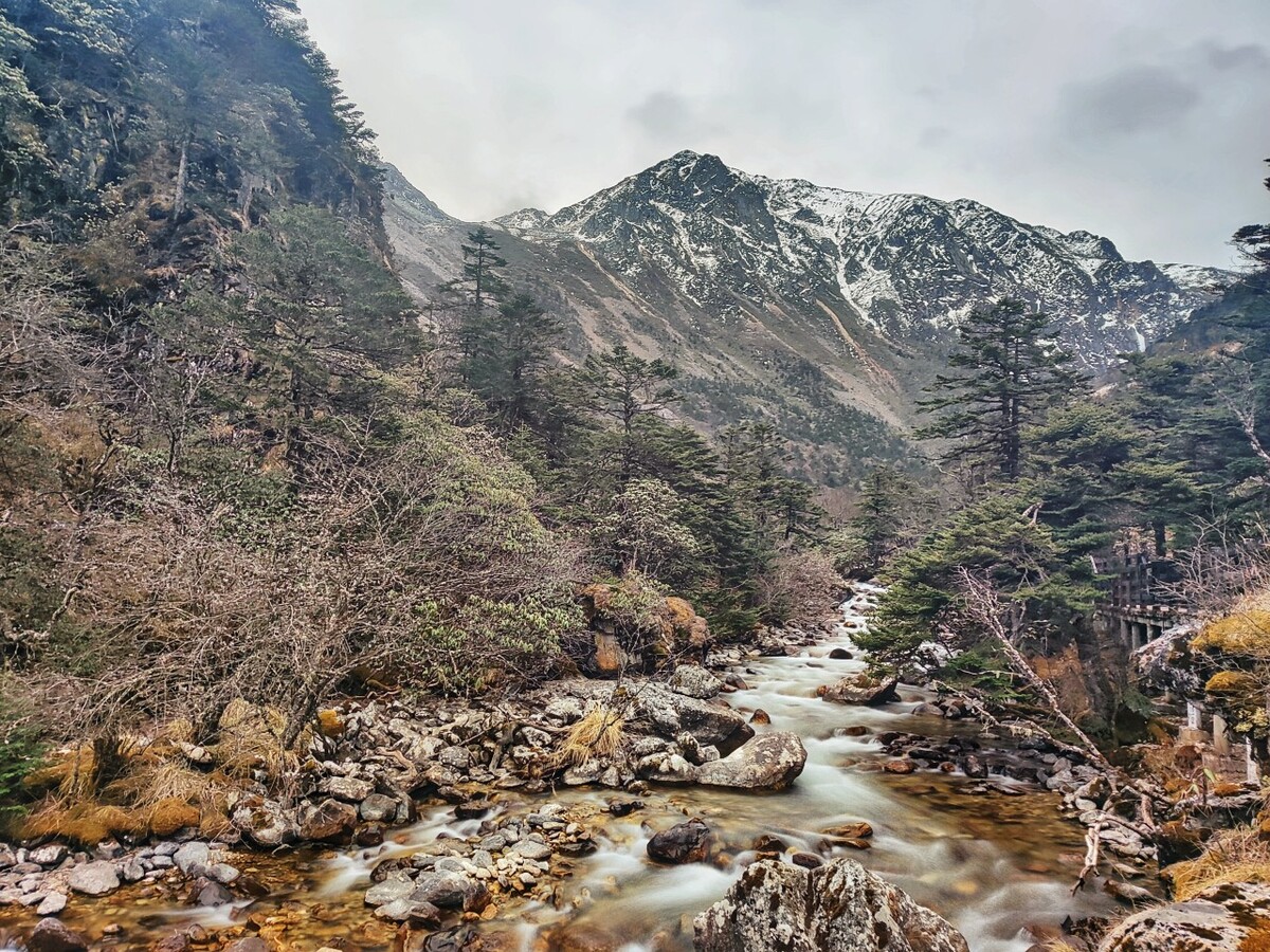 寂静山谷攻略(寂静山谷纯音乐)