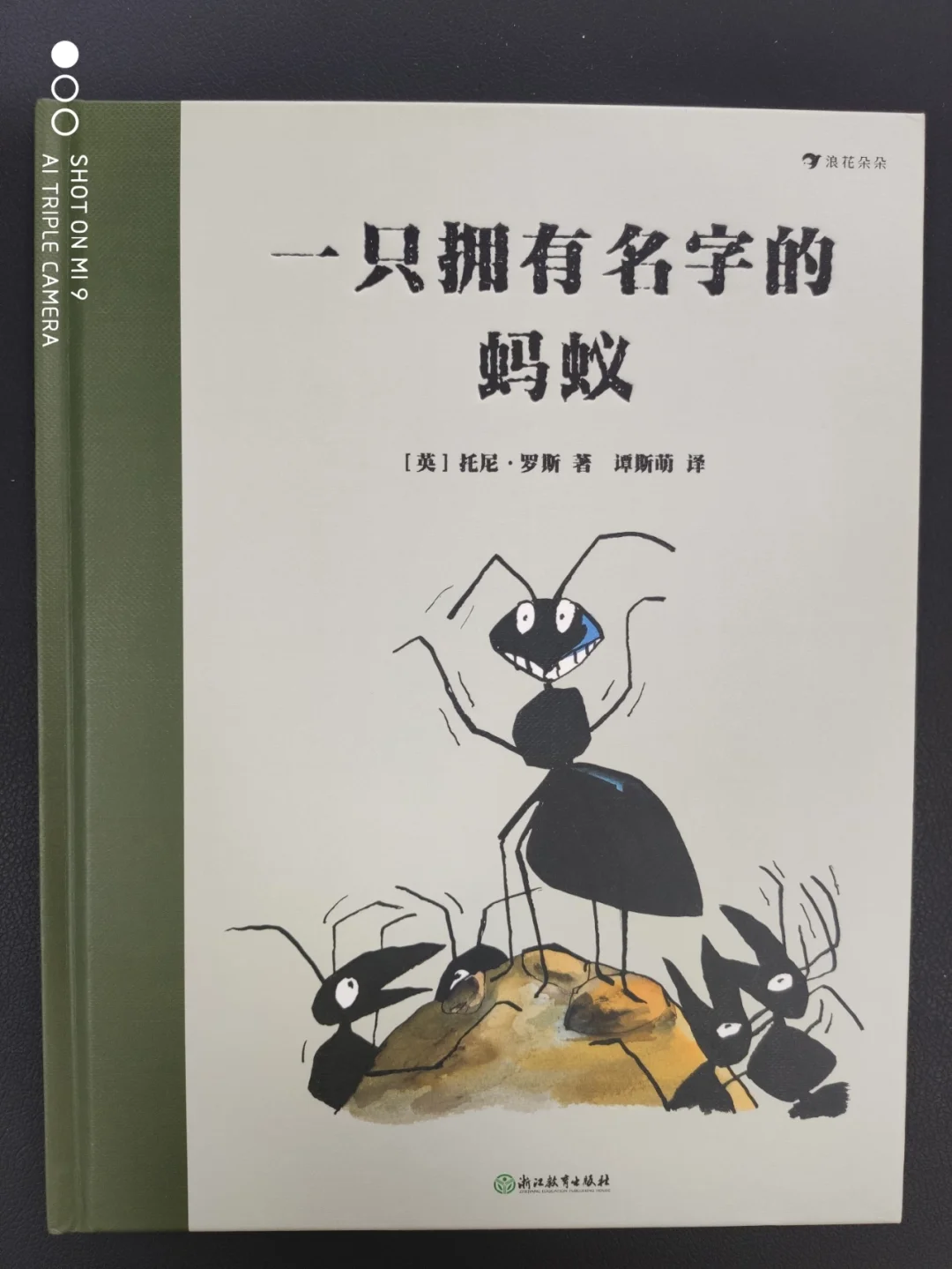 最后的蚂蚁汉化版破解版(最后的蚂蚁无限金币版中文)