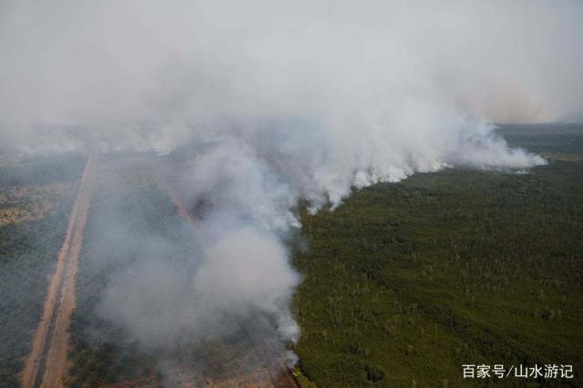 烟雾森林逃脱视频攻略(烟雾逃生的注意事项5点)