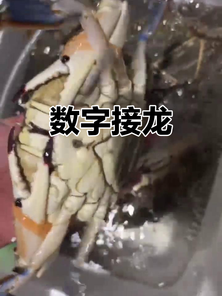 数字接龙攻略(数字接龙游戏技巧)