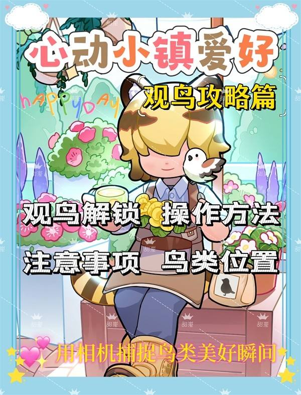 宠物店逃出攻略(宠物店套路与破解)