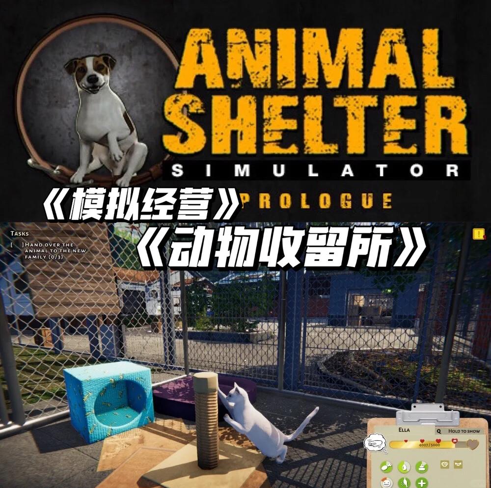 与动物游戏下载地址(与动物有关的游戏名称)