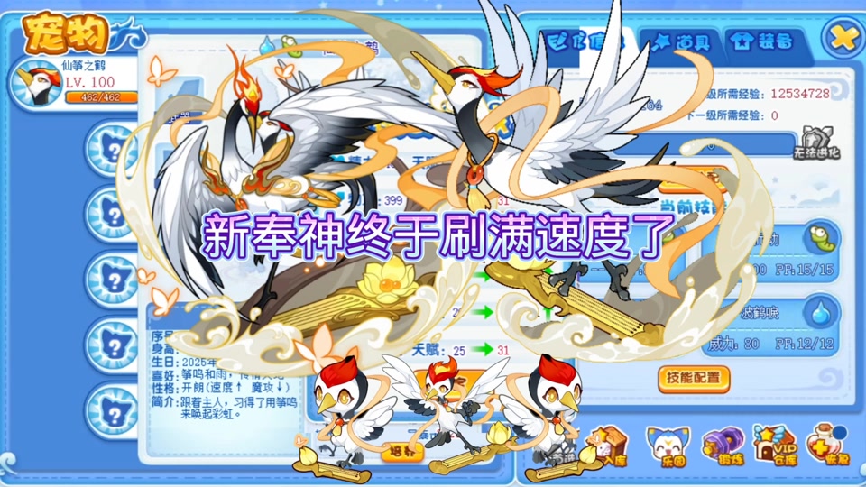 洛克王国浣熊球好么(洛克王国蔴球怎么得2021)