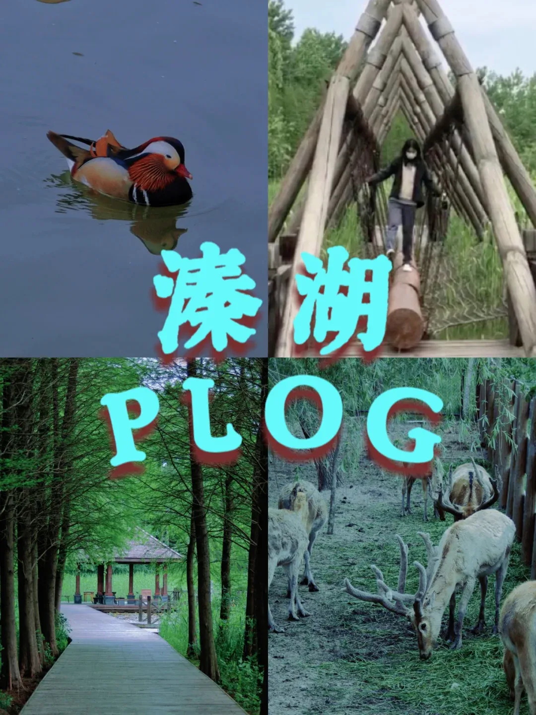 逃离日本公园小游戏攻略(逃离日本公园小游戏攻略图文)