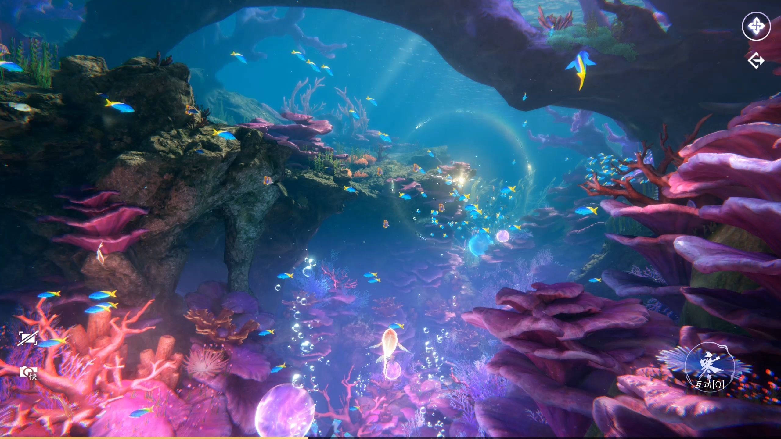 梦幻水族游戏(梦幻水族馆怎么玩)