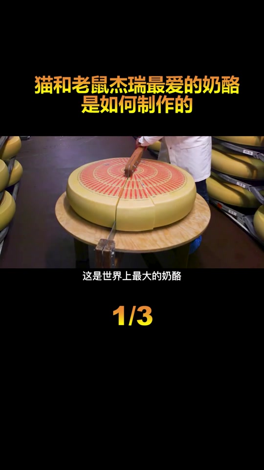 老鼠爱奶酪游戏攻略(老鼠找奶酪的游戏单机游戏)
