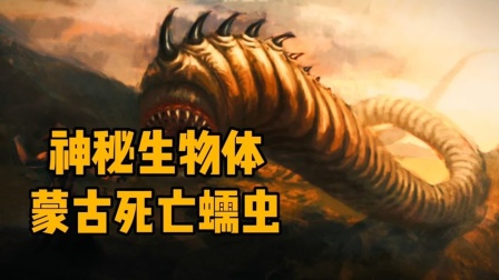 2025年10月26日 第4页