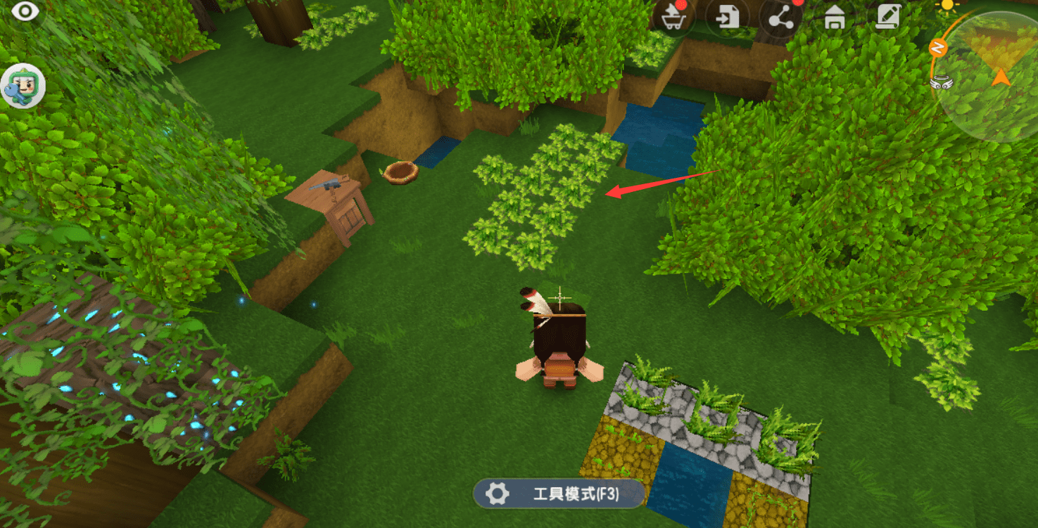 你迷你是世界奇趣雨林(迷你世界奇趣雨林无限迷你币)