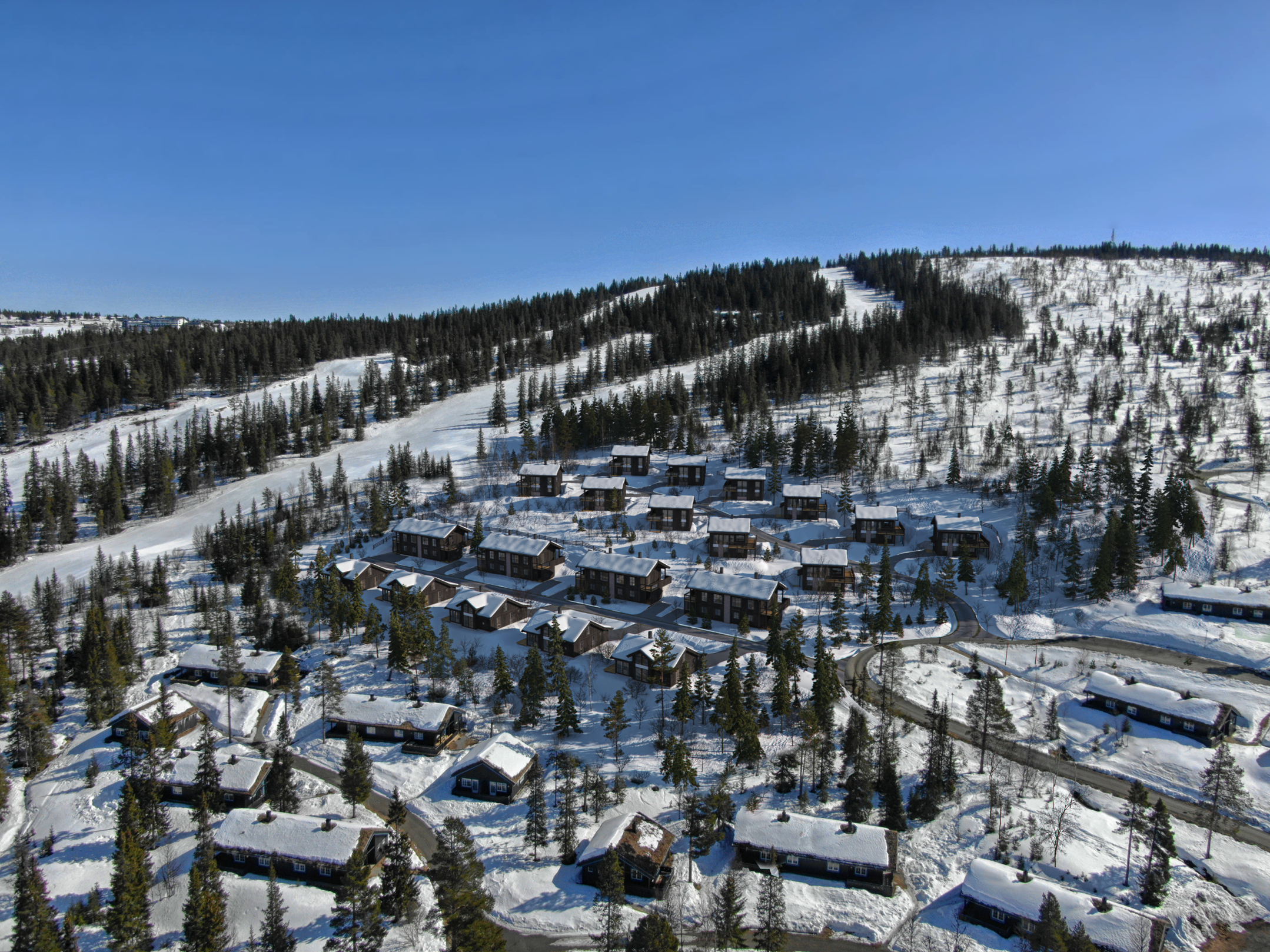 逃离神秘小屋攻略(逃离神秘小屋攻略大全)