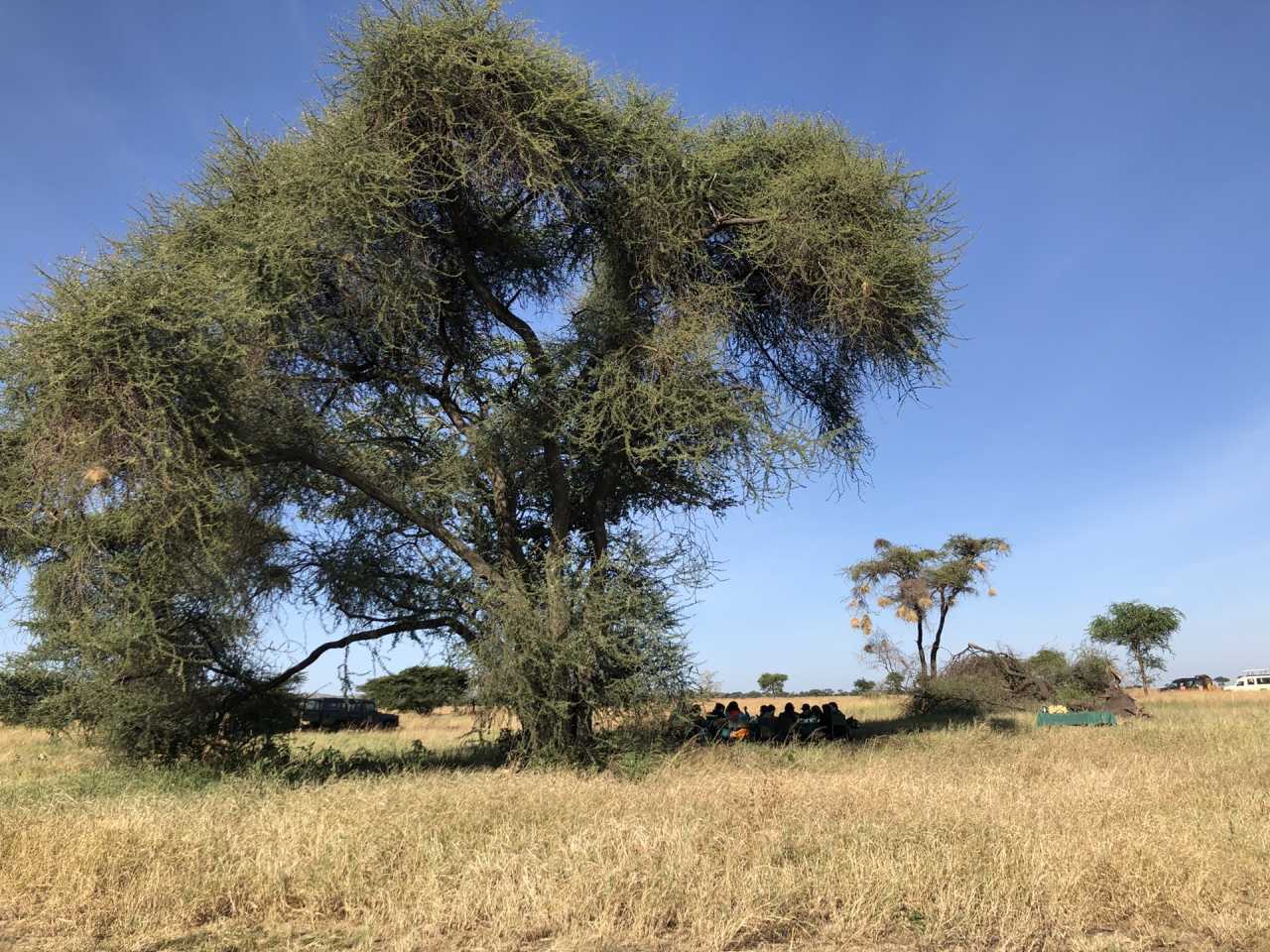 天堂还是地狱攻略(天堂还是地狱作弊码)