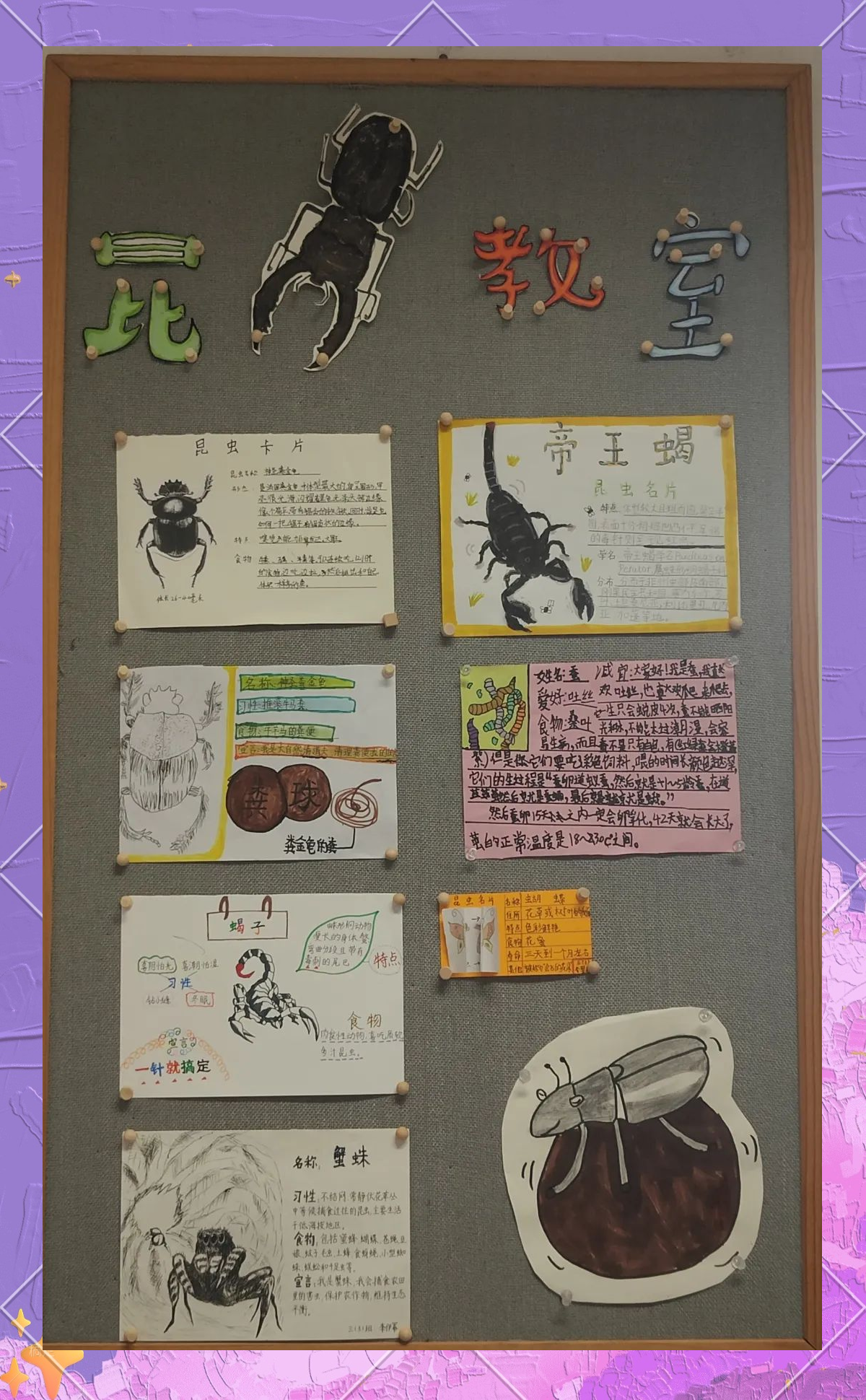 小虫历险记攻略(小虫子历险记怎么写)