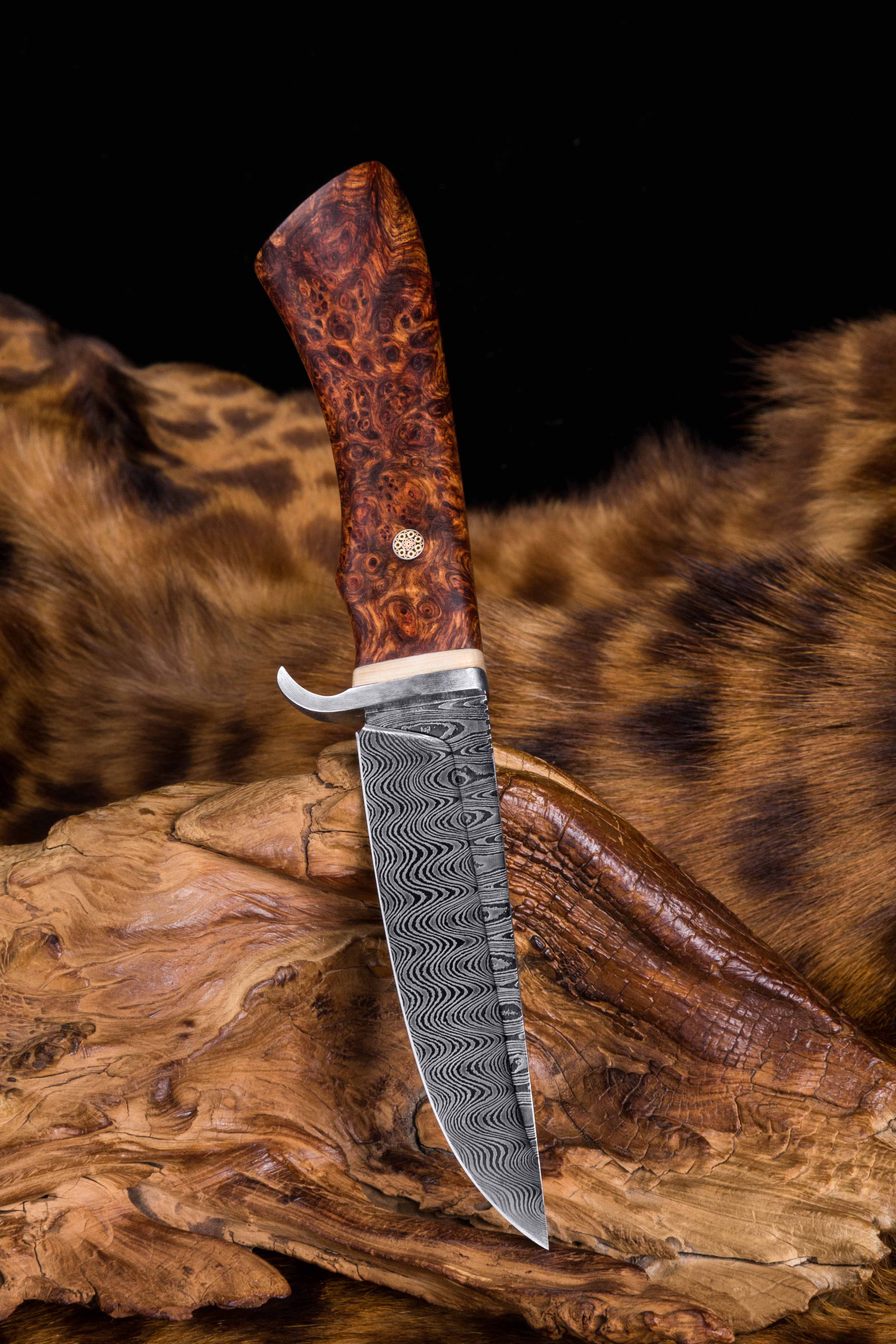 加拿大的不归路武器(加拿大不归路武器怎么充电)