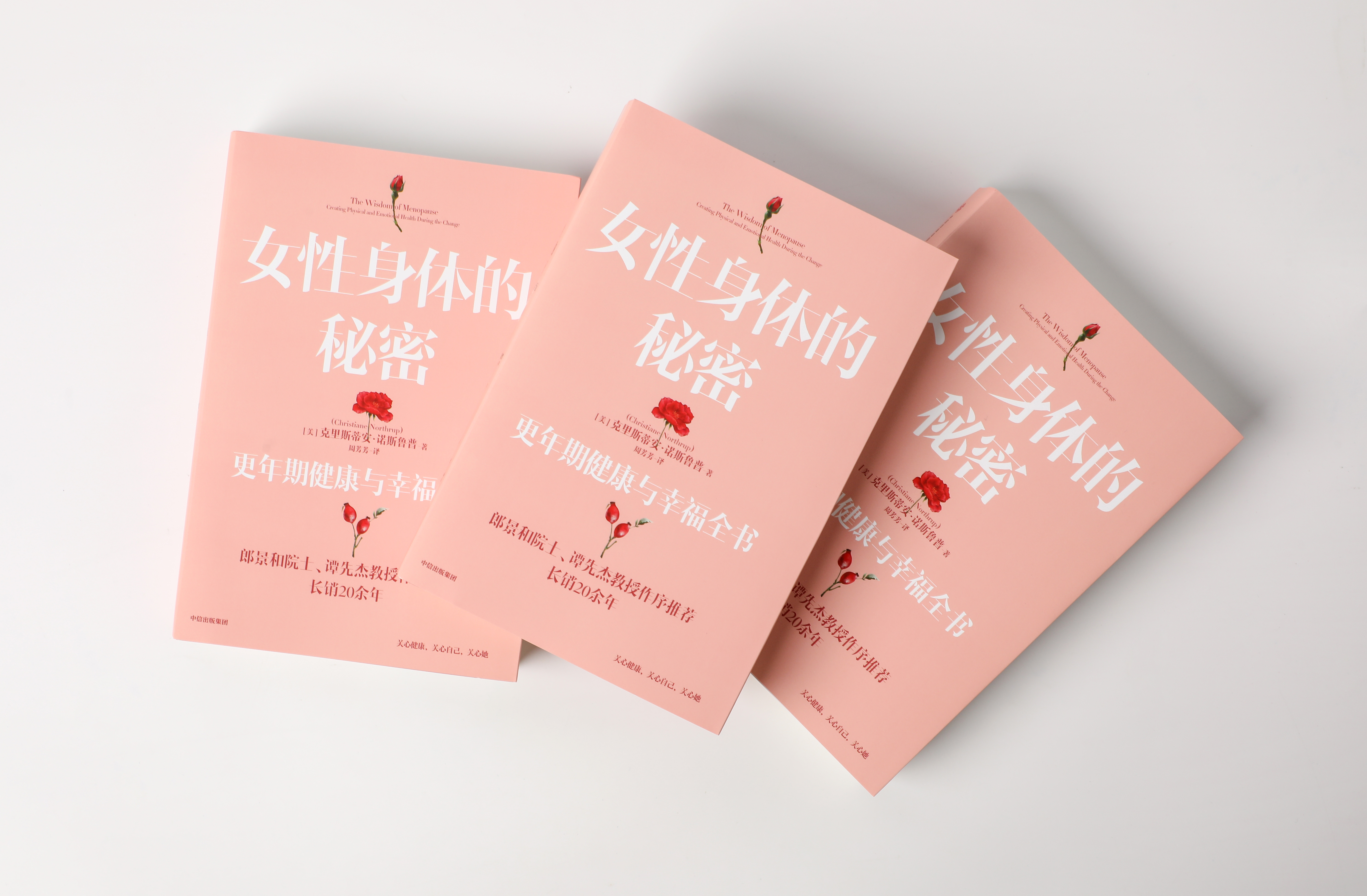 女生手册破解版(女生手抄报图片大全)