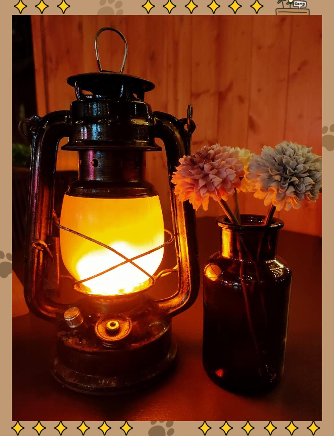 昏暗的灯光攻略(昏暗的灯光是什么意思)