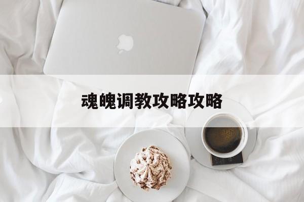 魂魄调教攻略攻略(调理魂魄的中药有哪些)