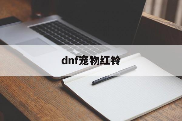 dnf宠物红铃(dnf宠物装备红色蓝色绿色哪个好)